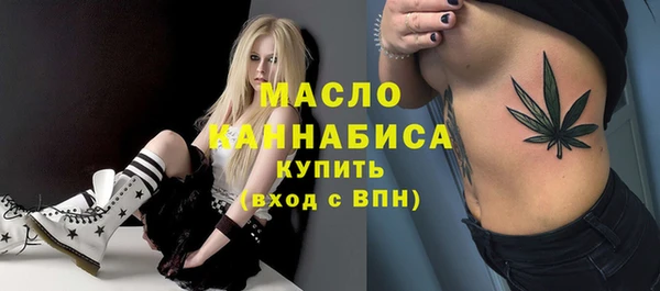 мдпв Вяземский