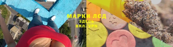 мдпв Вяземский