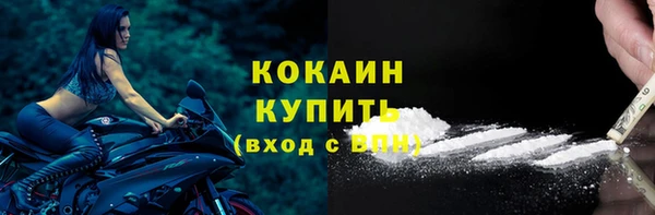 мдпв Вяземский