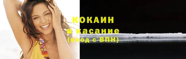 мдпв Вяземский