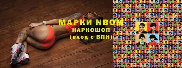 мдпв Вяземский