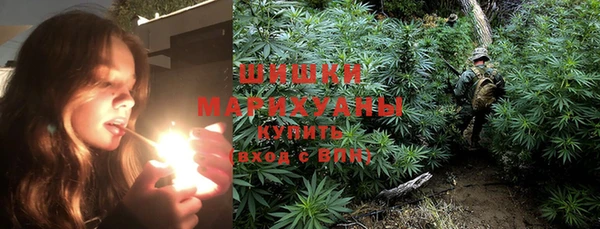 мдпв Вяземский