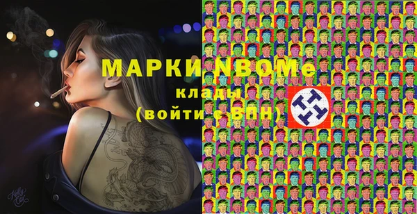 мдпв Вяземский