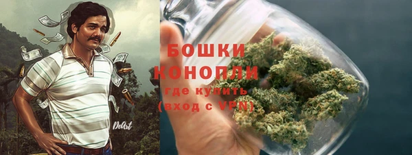 мдпв Вяземский